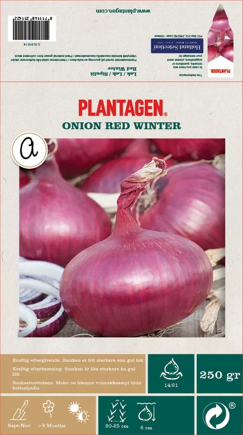 Onion Red Winter - 250g