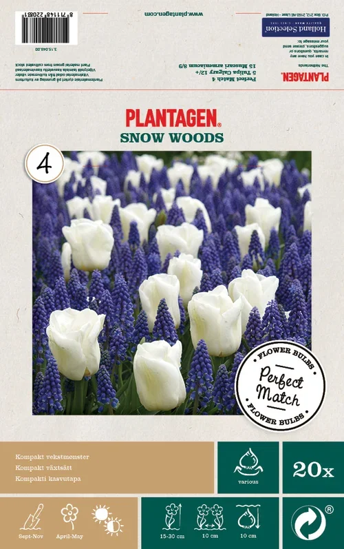 Höstlök mix Snow Woods - 20 st