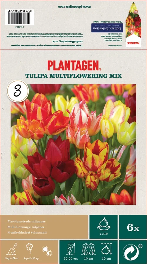 Tulipa Multiflowering Mix - 6 bulbs