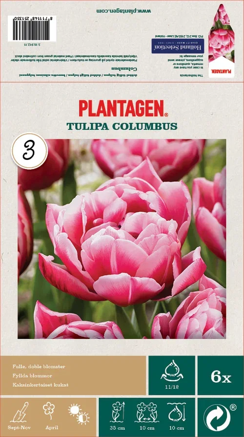 Tulipa Double Early Columbus - 6 bulbs
