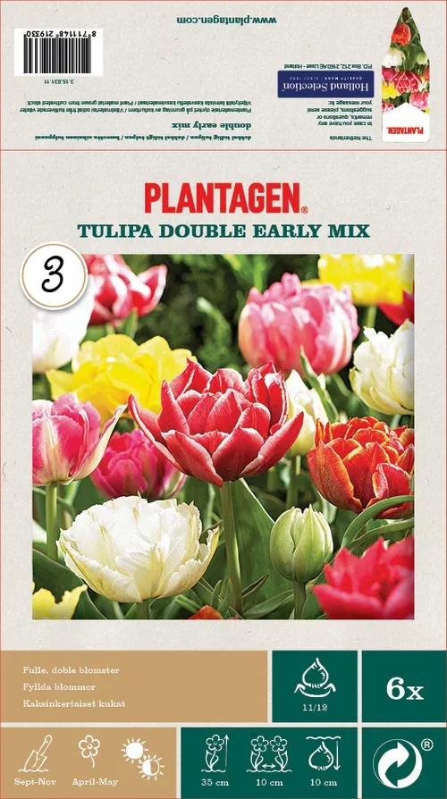 Tulipa double early mix 11/12 - 6 bulbs