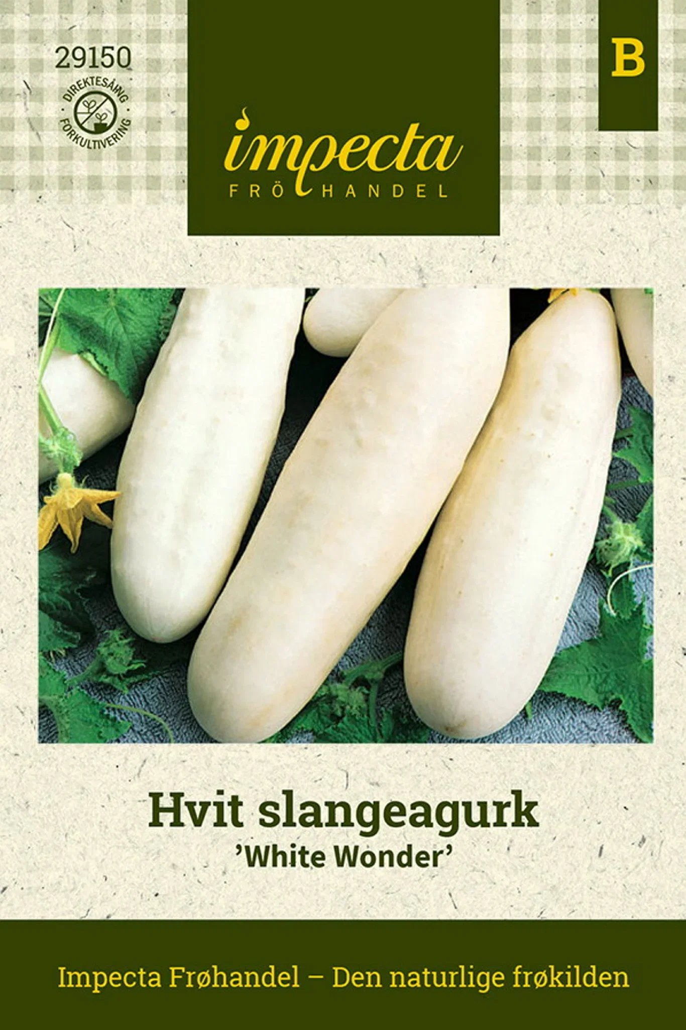 Vit slanggurka 'White Wonder'