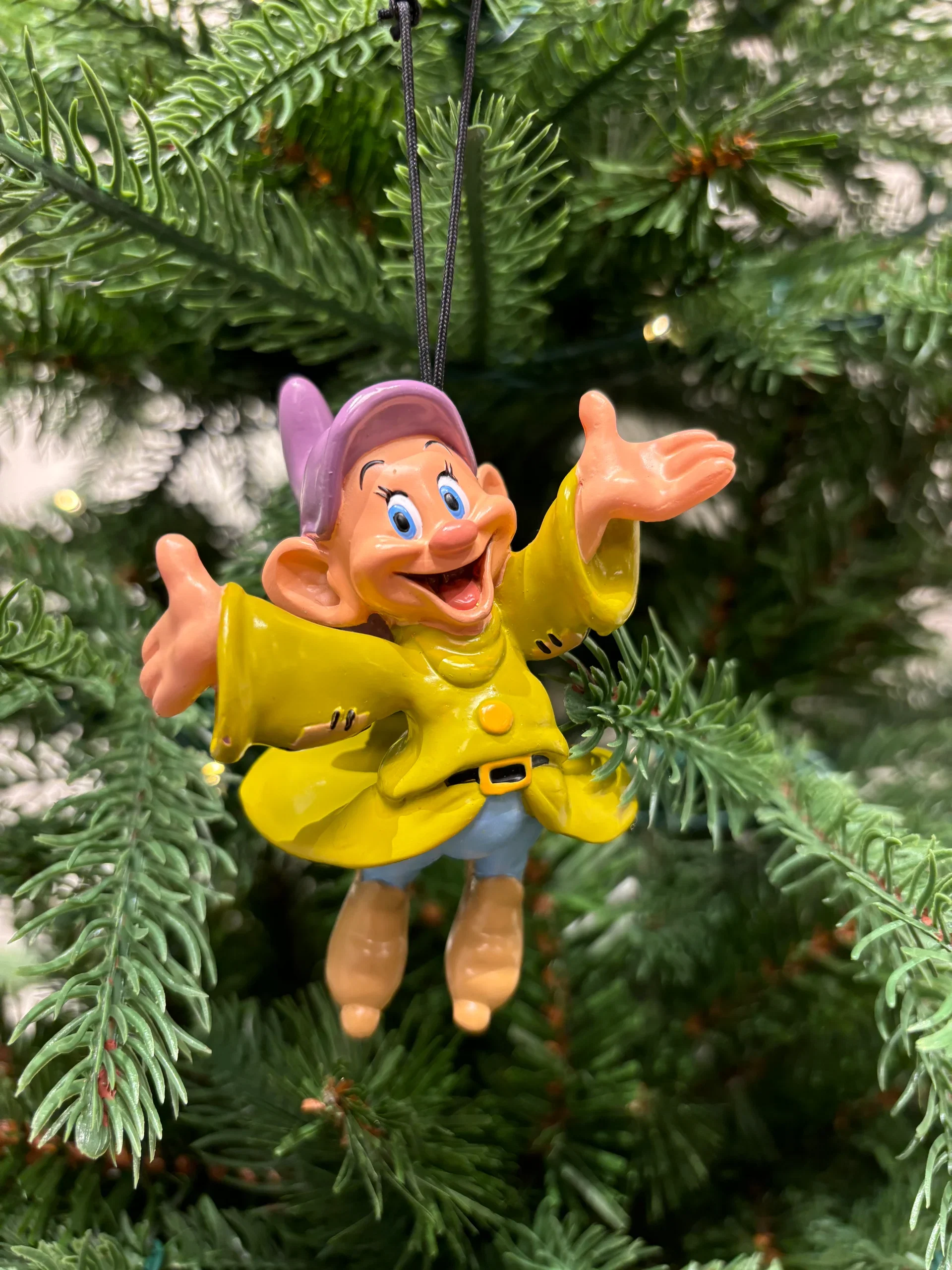 Dopey prydnad H7 multi