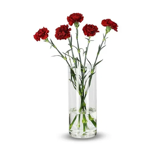 Nejlikor 5-pack