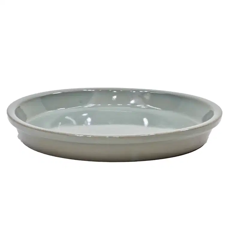 Saucer Nordica