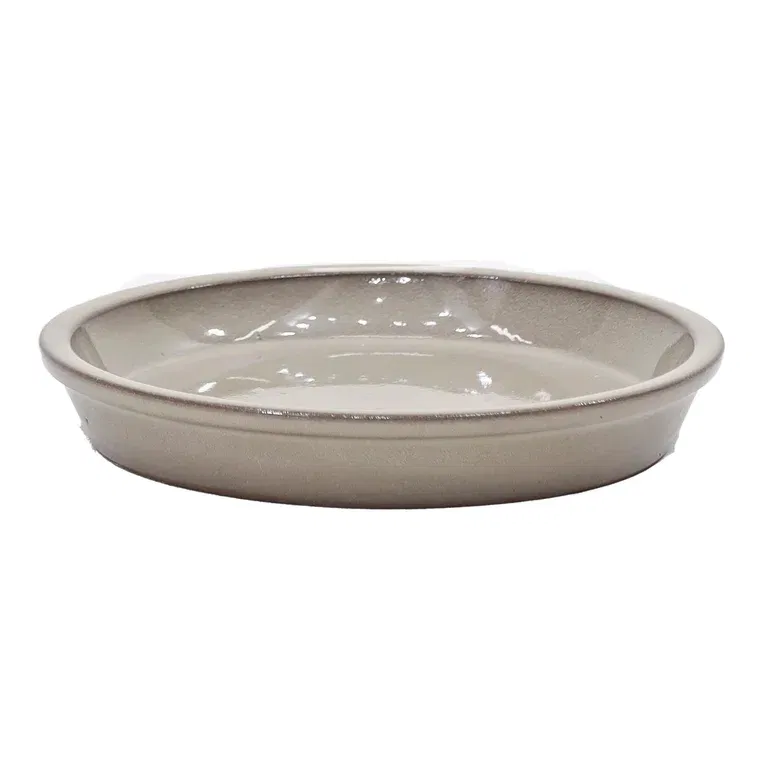 Saucer Nordica