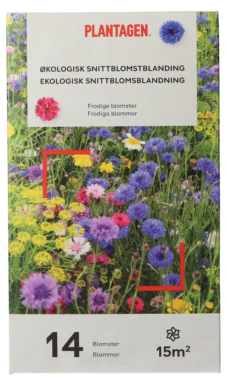 Ekologisk snittblommeblandning