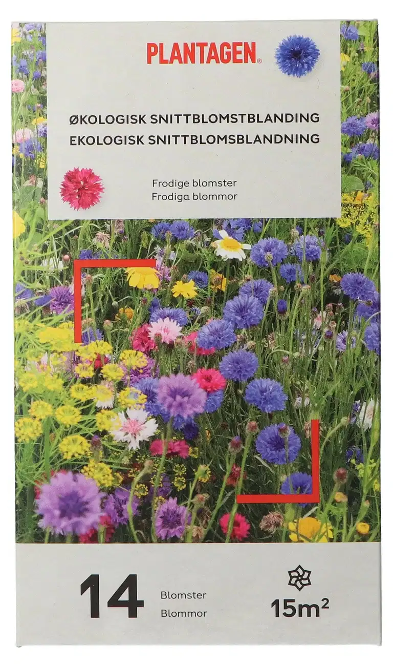 Ecological Cut Flowers Mix