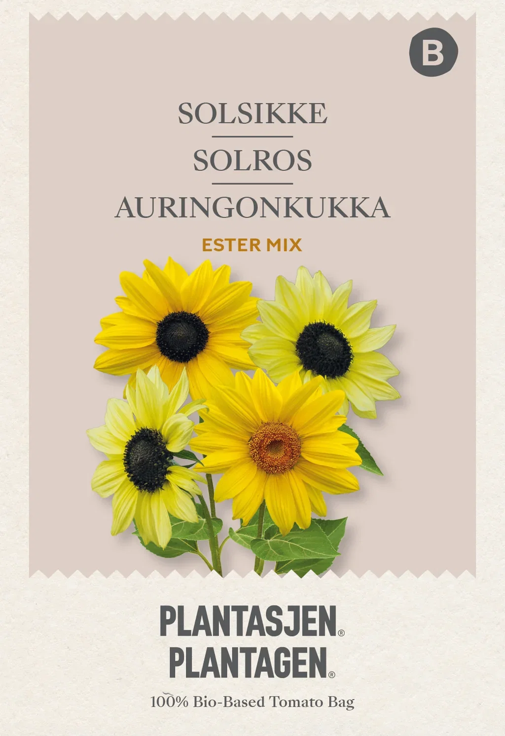 Helianthus debilis - esther mixed -1 g