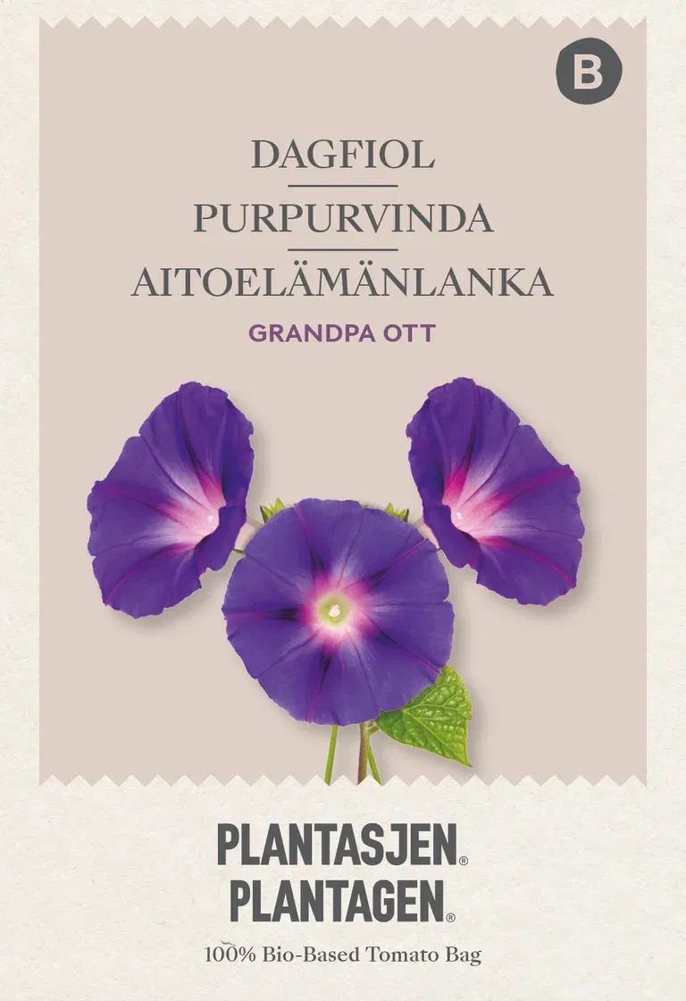 Purpurvinda 'Grandpa Ott'