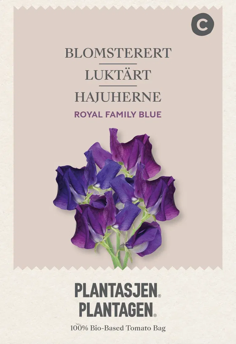 Luktärt 'Royal Family' Blue