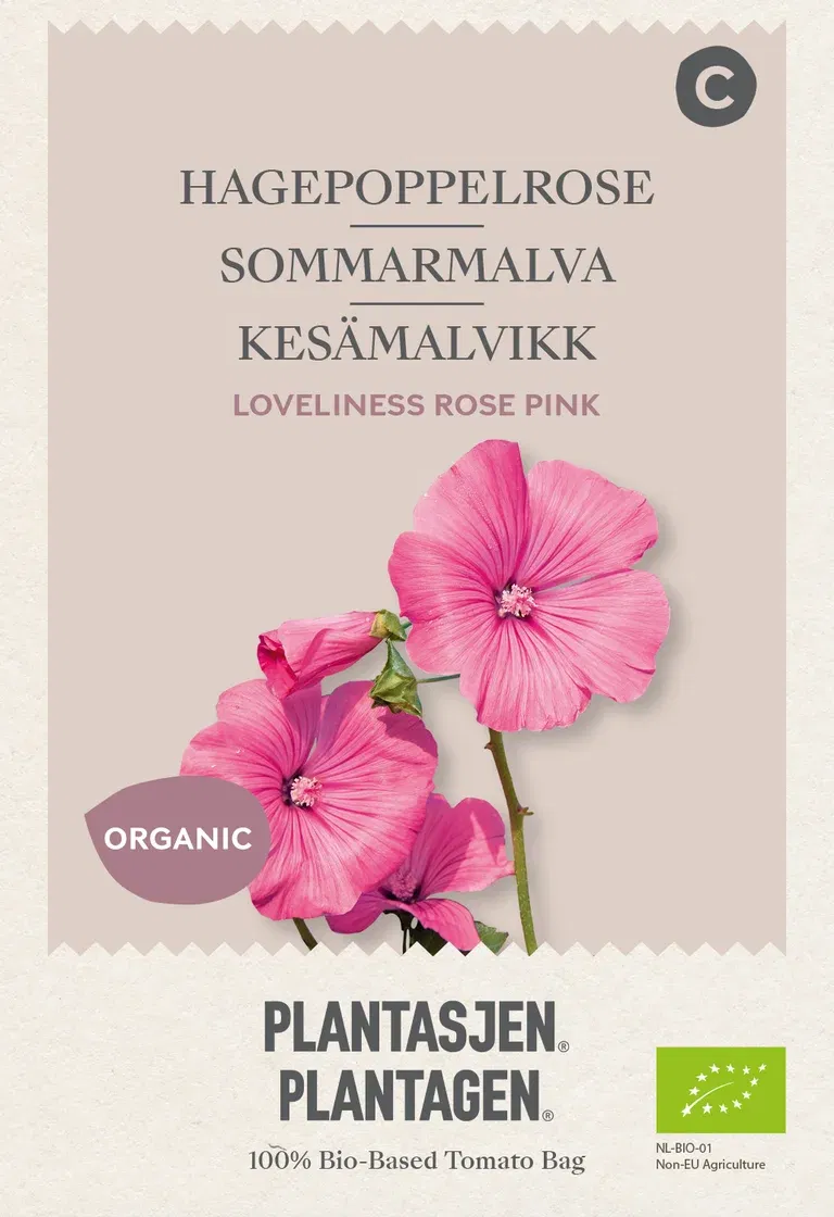Sommarmalva 'Loveliness' Rose Pink