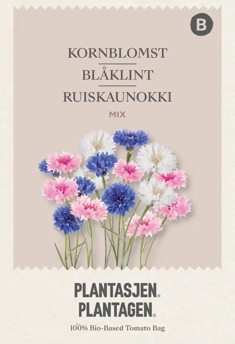 Centaurea Cyanus Double Mixed