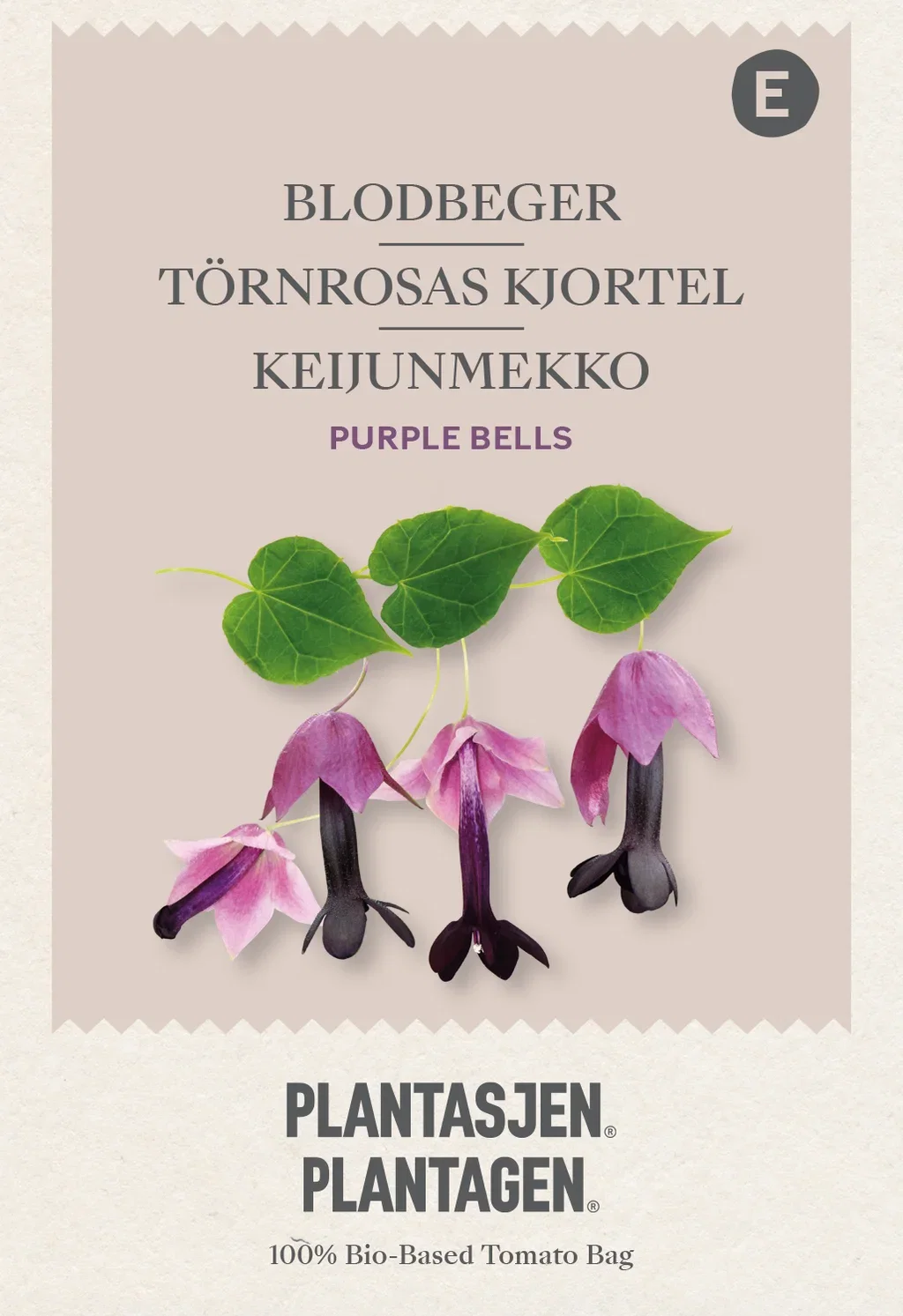 Climbing Flowers, Rhodochiton, Purple Bells