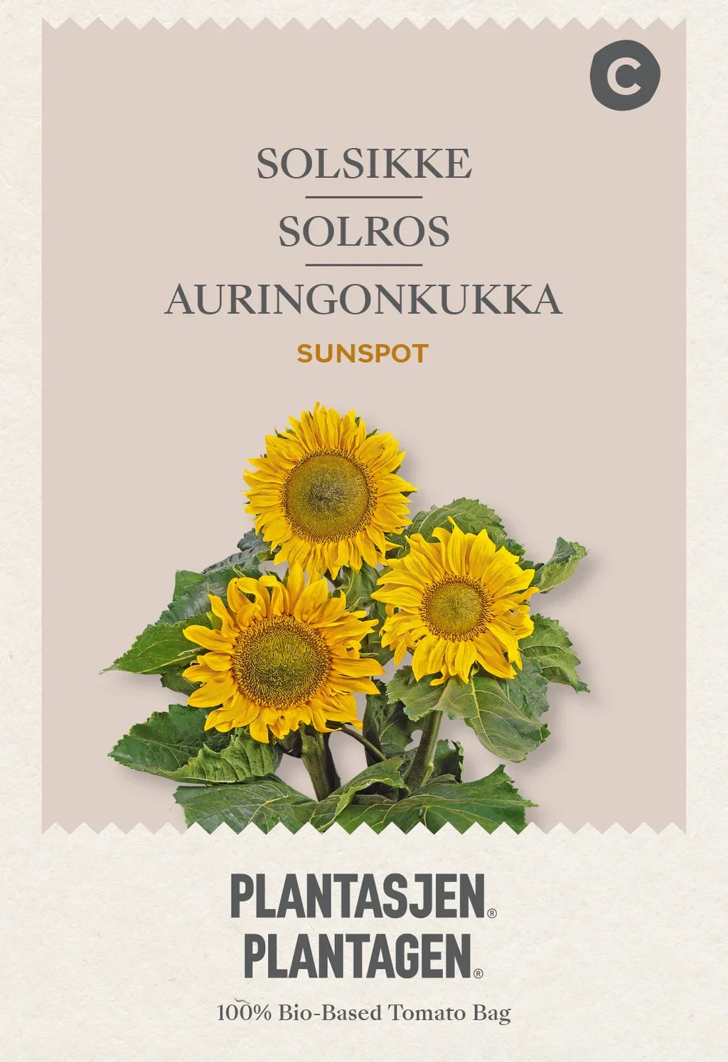 Helianthus annuus dwarf single Sunspot - 2,5 g