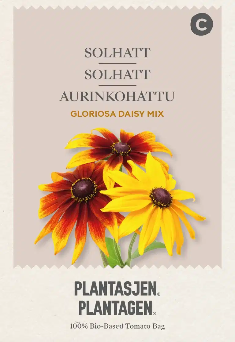 Solhatt 'Gloriosa Daisy Mix'