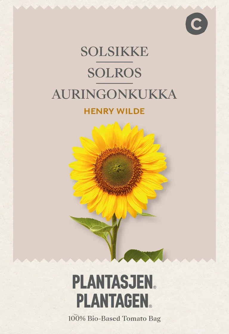 Solros 'Henry Wilde'