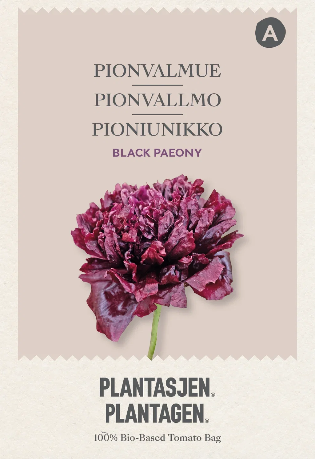 Poppy Flowers 'Black Paeony'