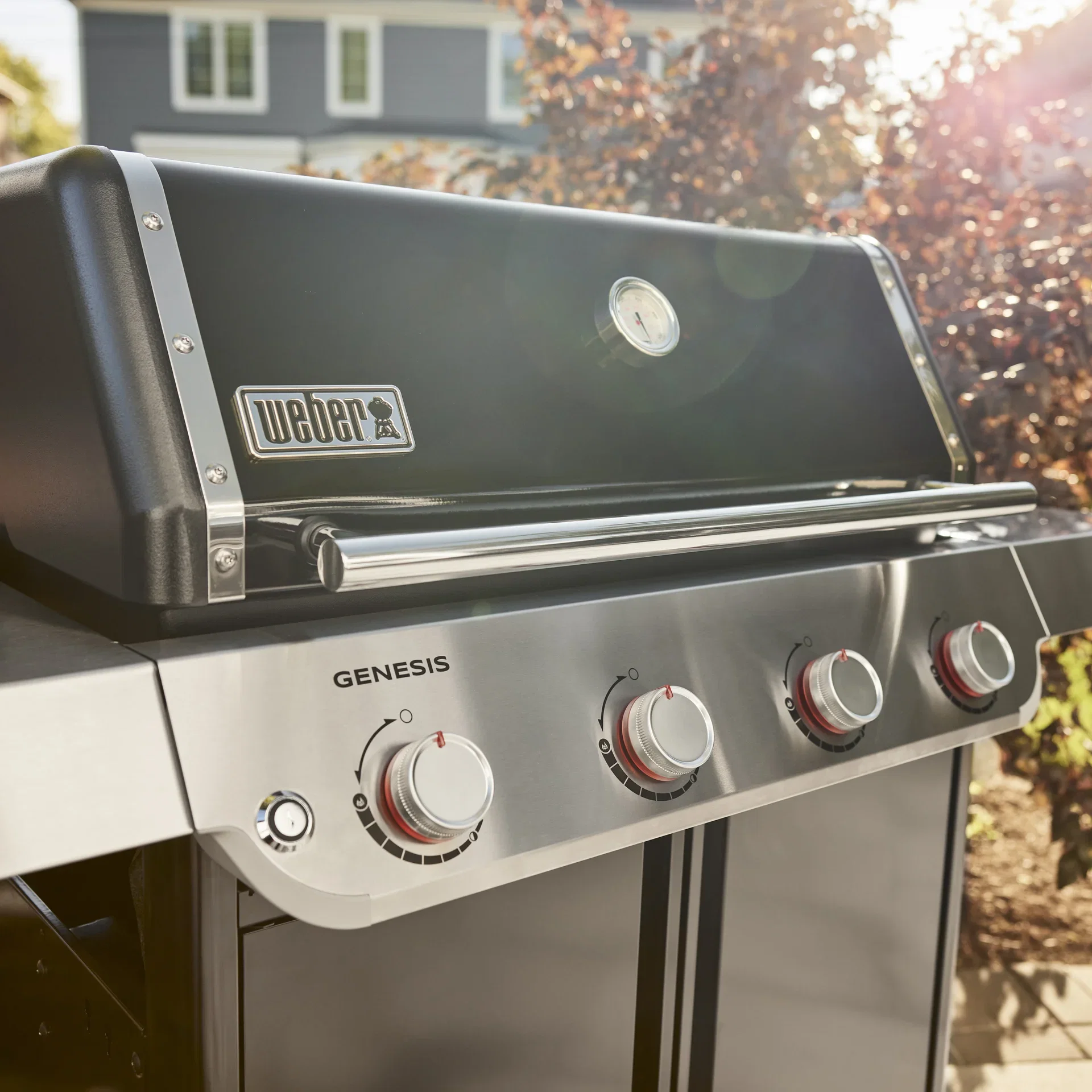 Gas Grill Genesis E-415