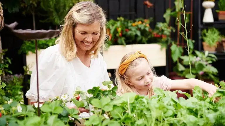 Juli - detta kan du så och odla