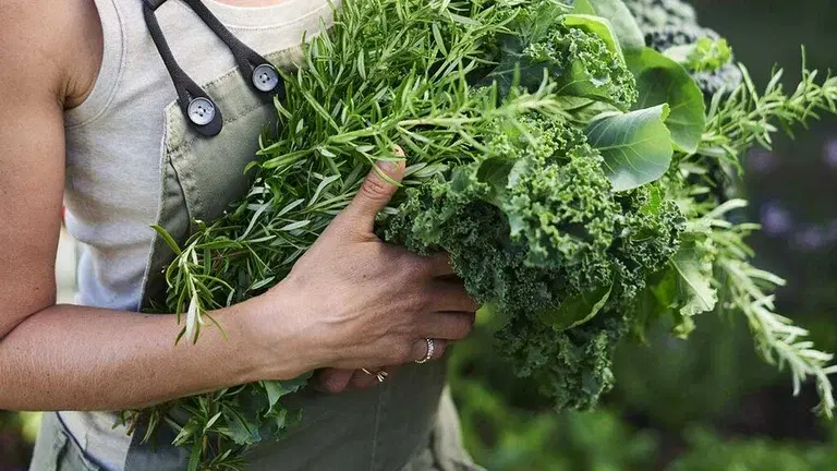 Fast-growing vegetables and flowers - last-minute cultivation