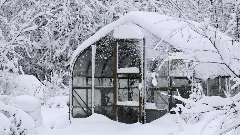 Februari - detta kan du så och odla