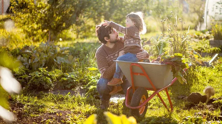 September - detta kan du så och odla