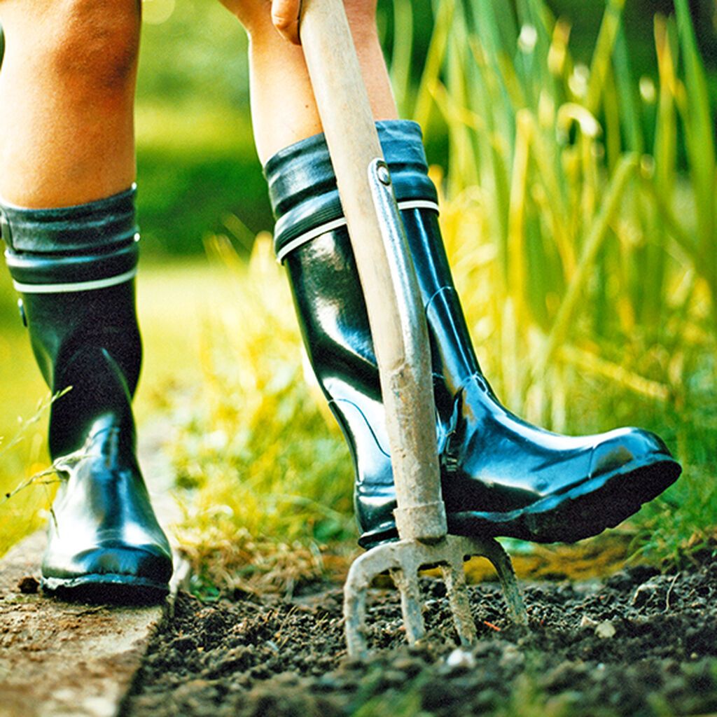 Image of Trädgårdstips