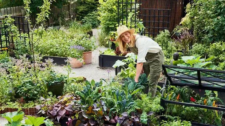 Augusti - detta kan du så och odla
