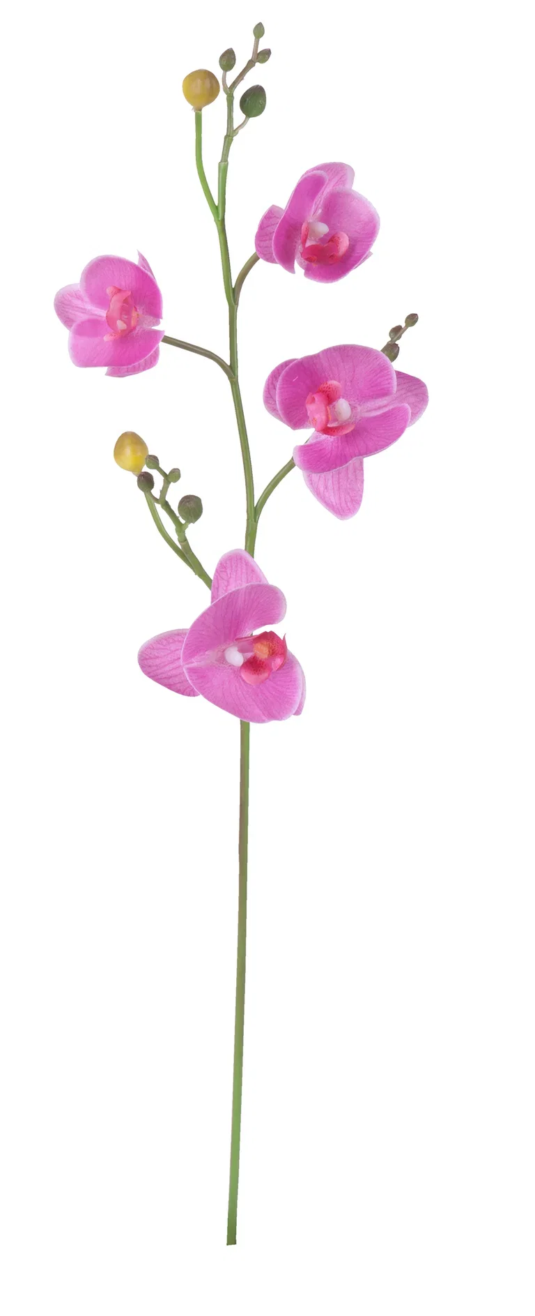 Orchide branch H52 red