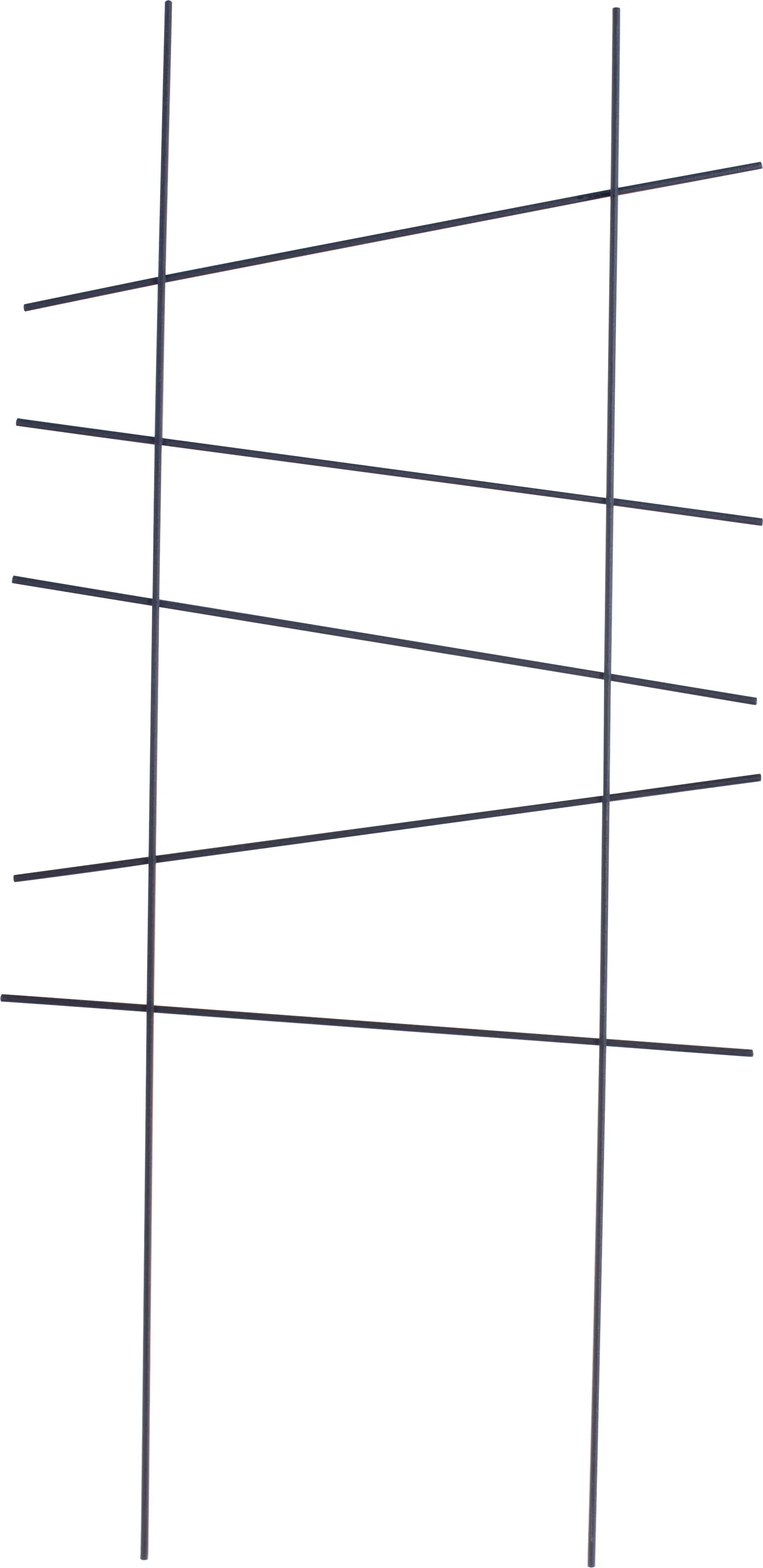 Ortus Trellis 58 Straight