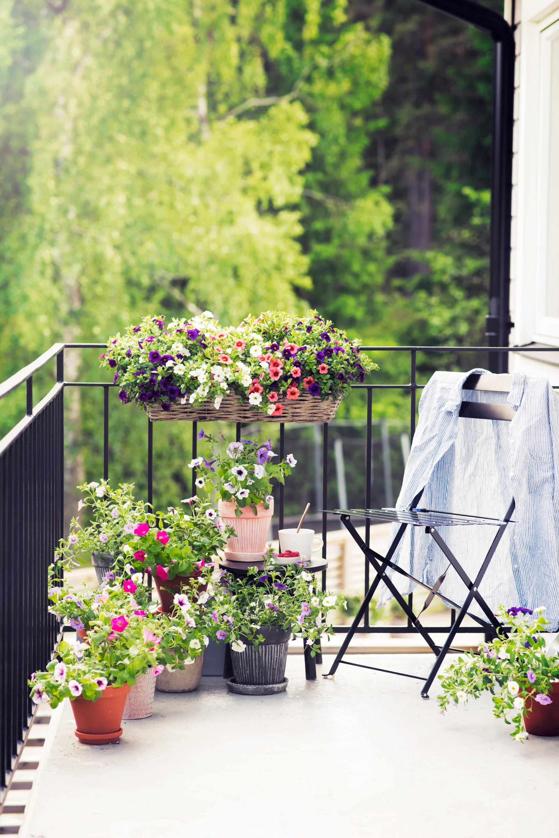 Balkonglåda med krokar Edith