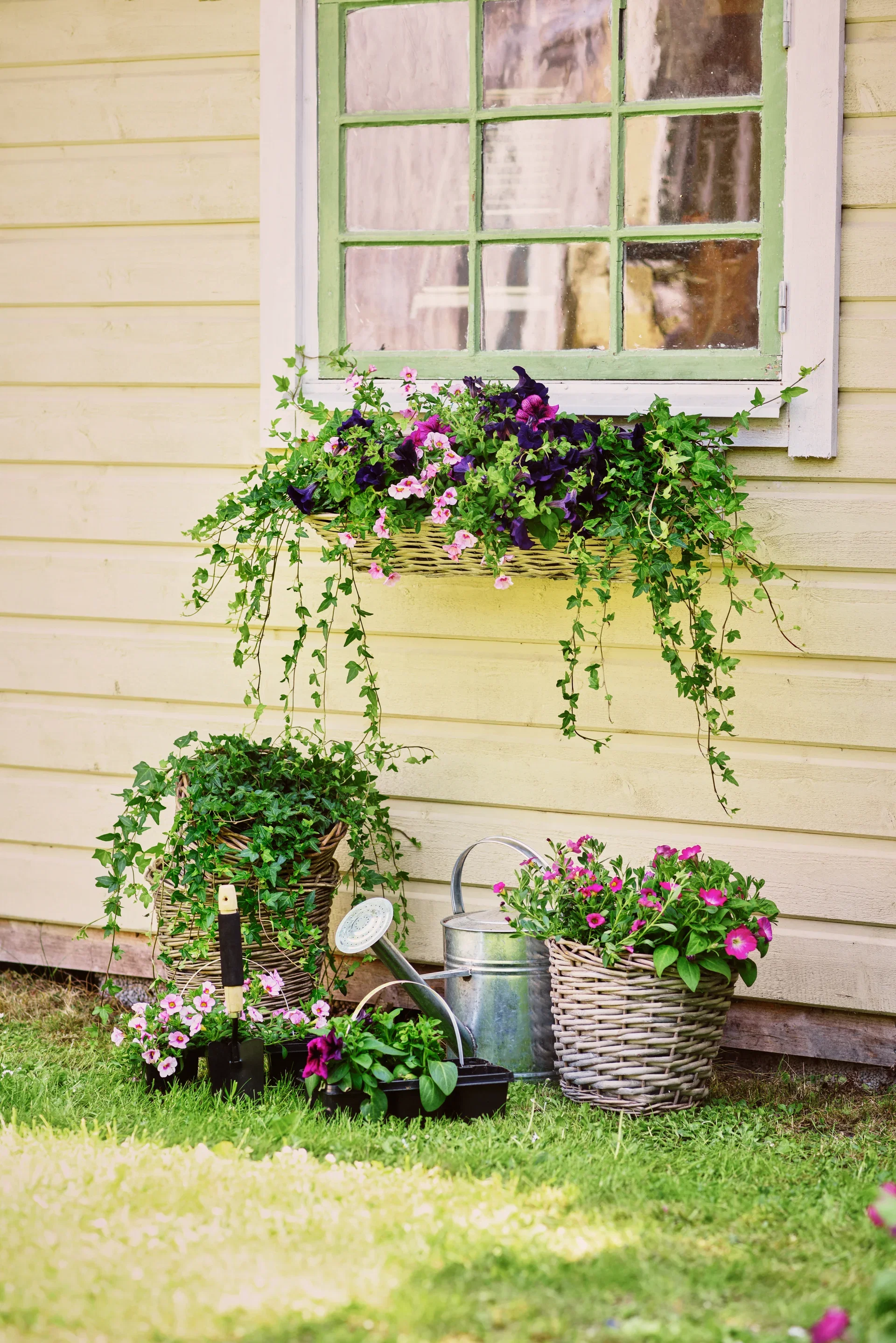 Balkonglåda med krokar Edith