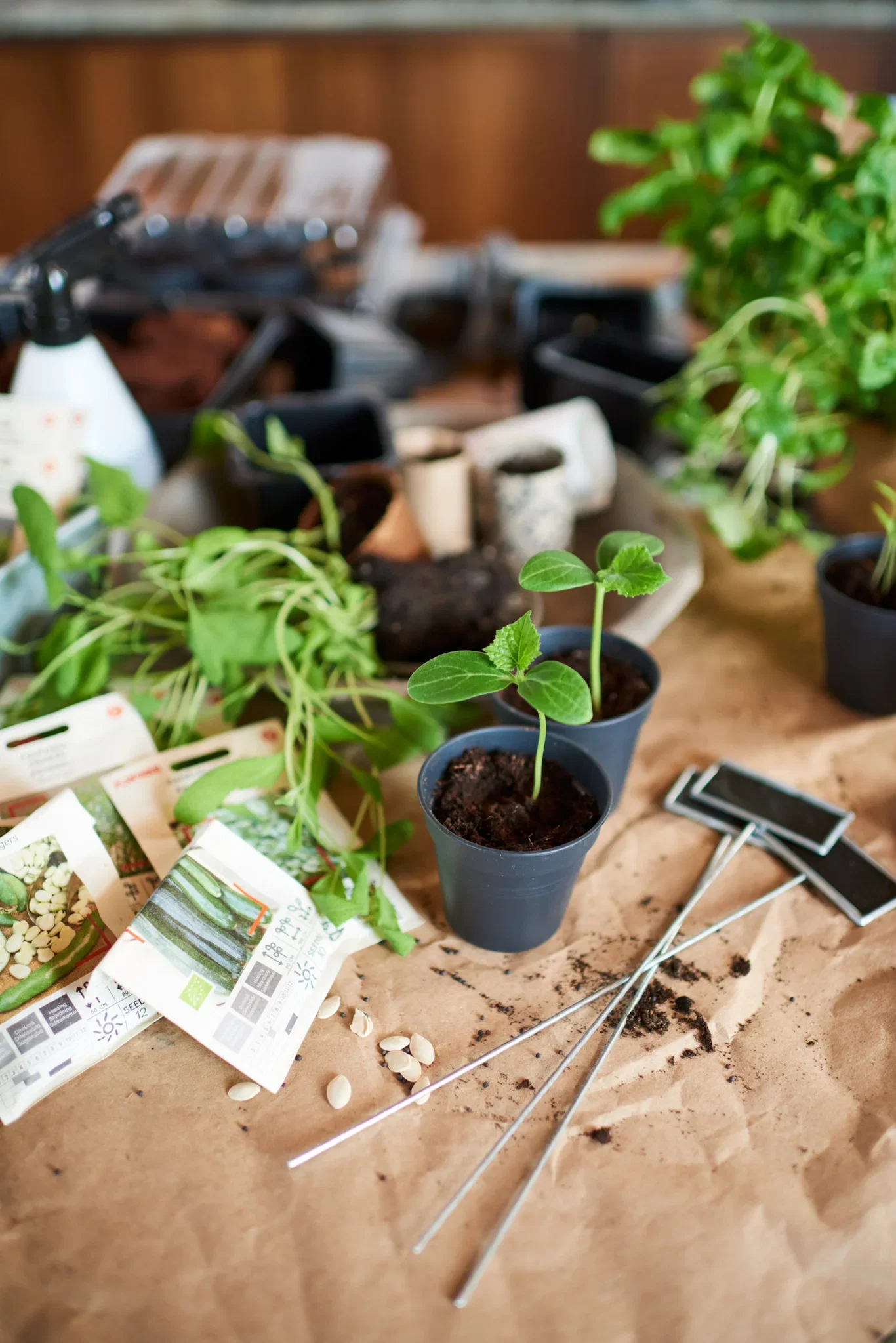 Tyra Blackboard stick 33cm