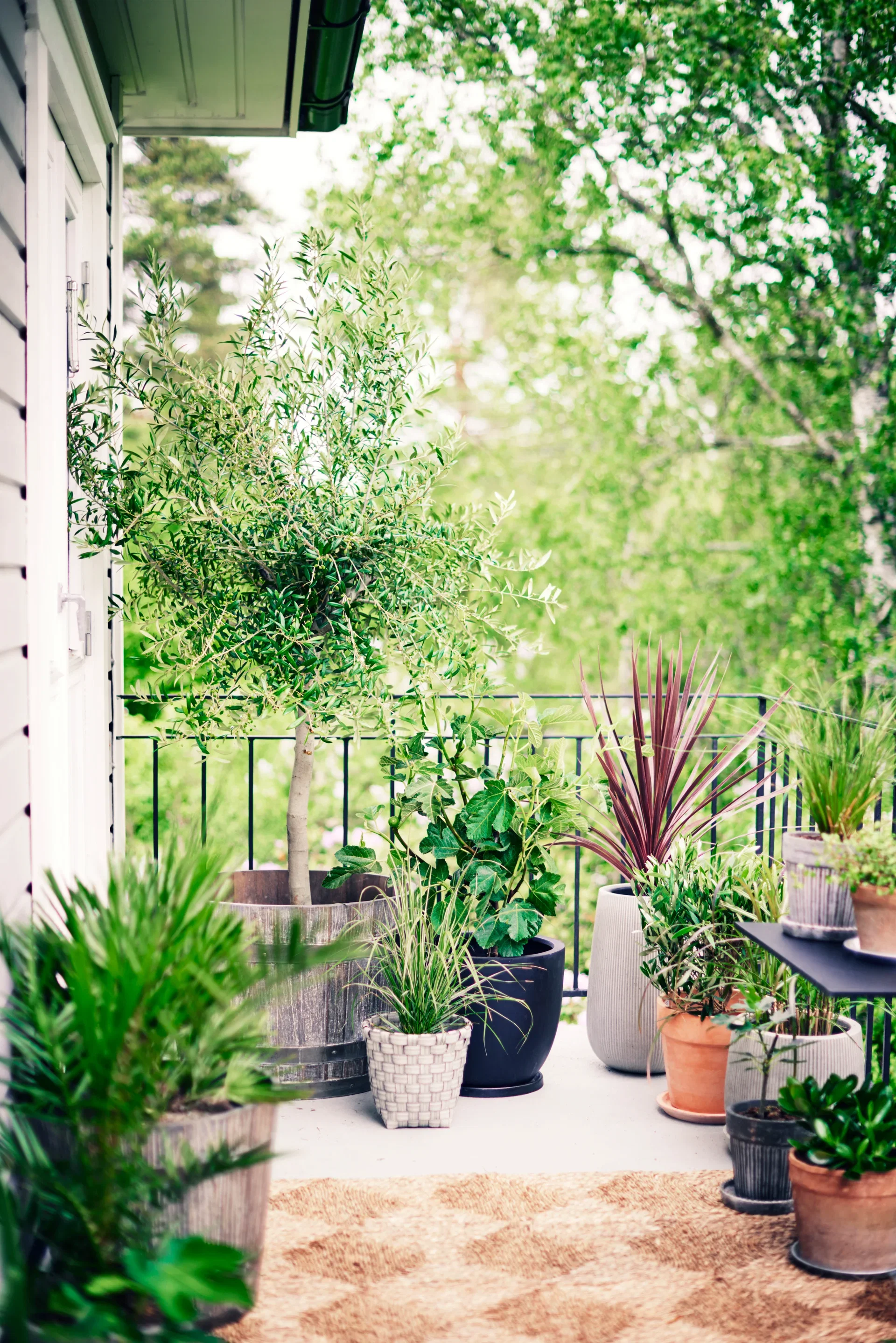 Joel high pot D47 H70 grey