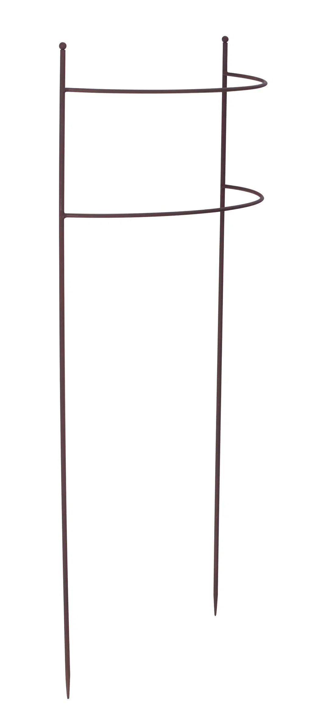 Plant Support 80cm Curved Rust