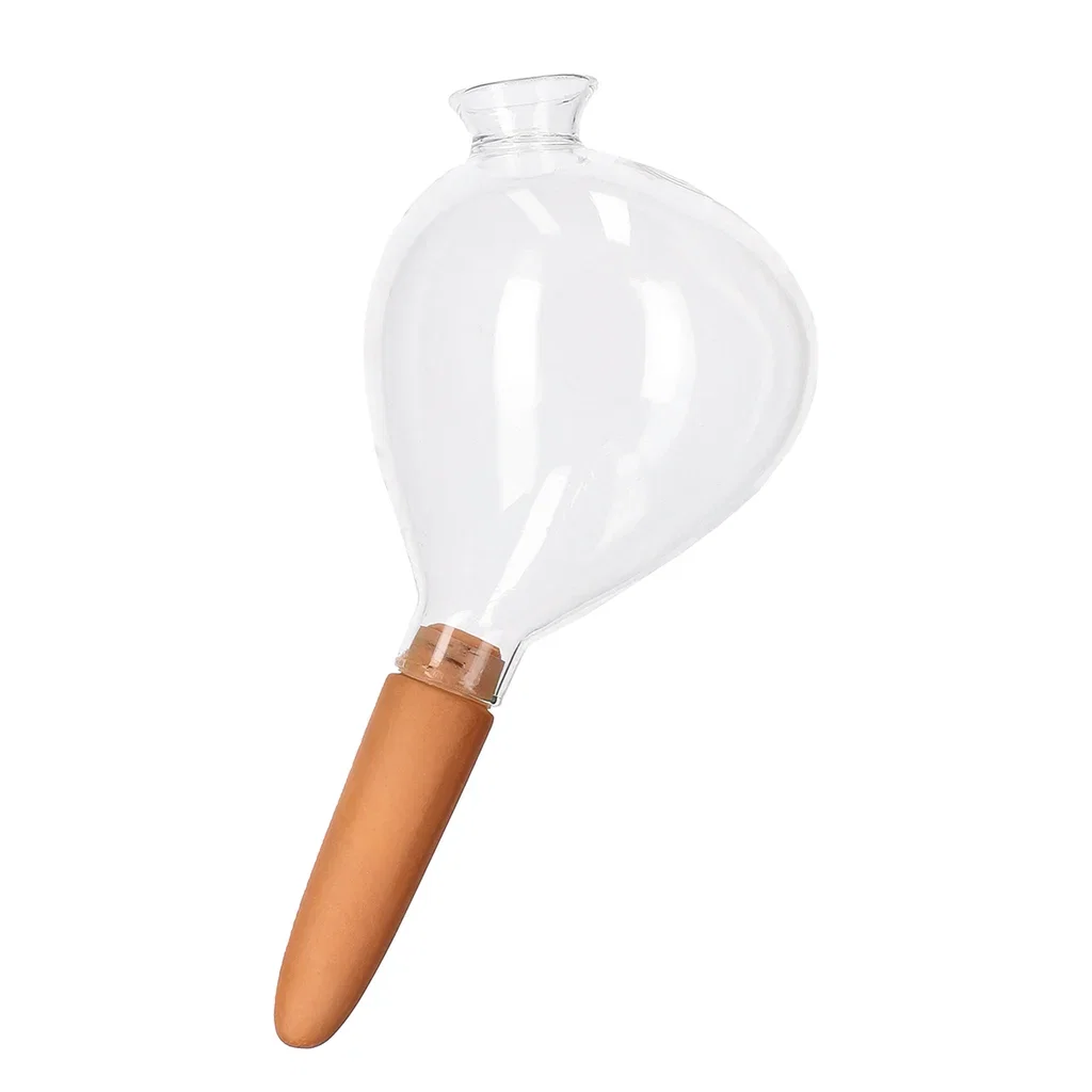 Glass plant watering globe 300
