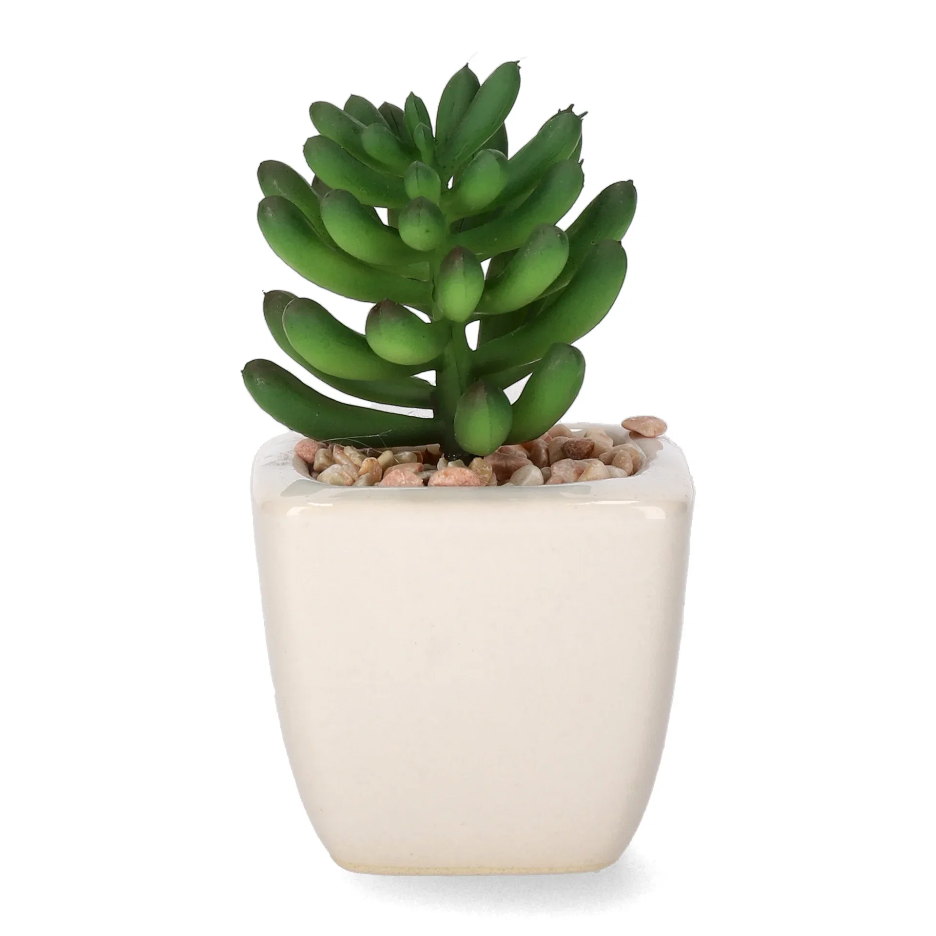 Mini cactus 12ass green