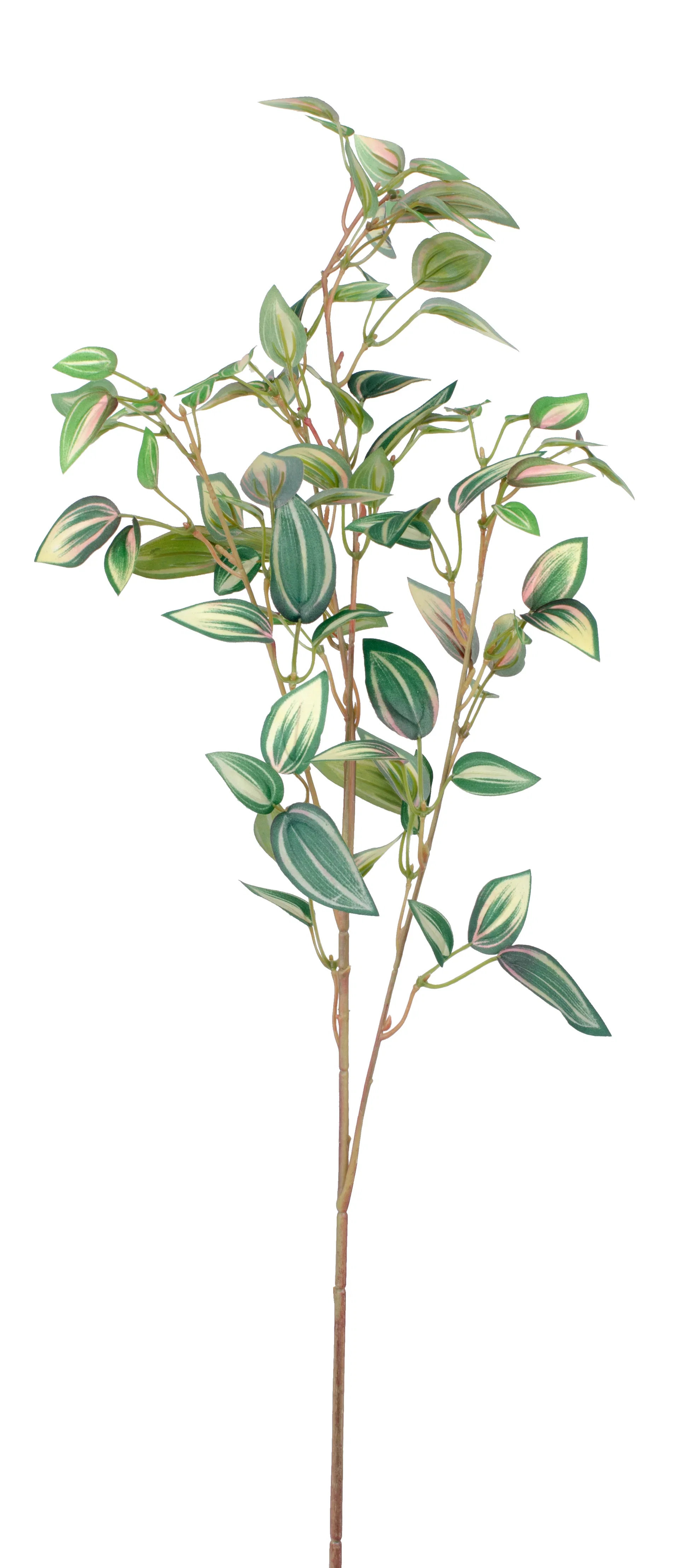 Zebrablad konstgjord kvist