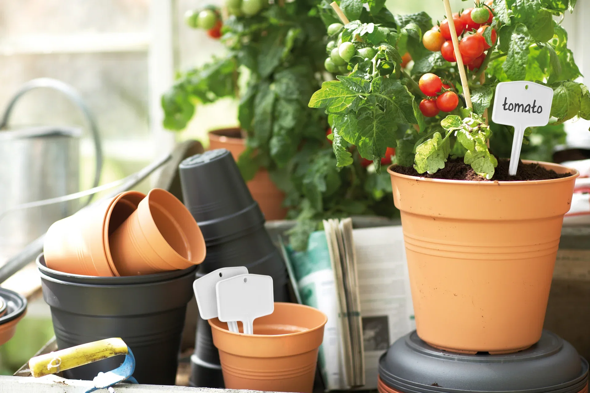 Plantetiketter Green Basics M 5-pack