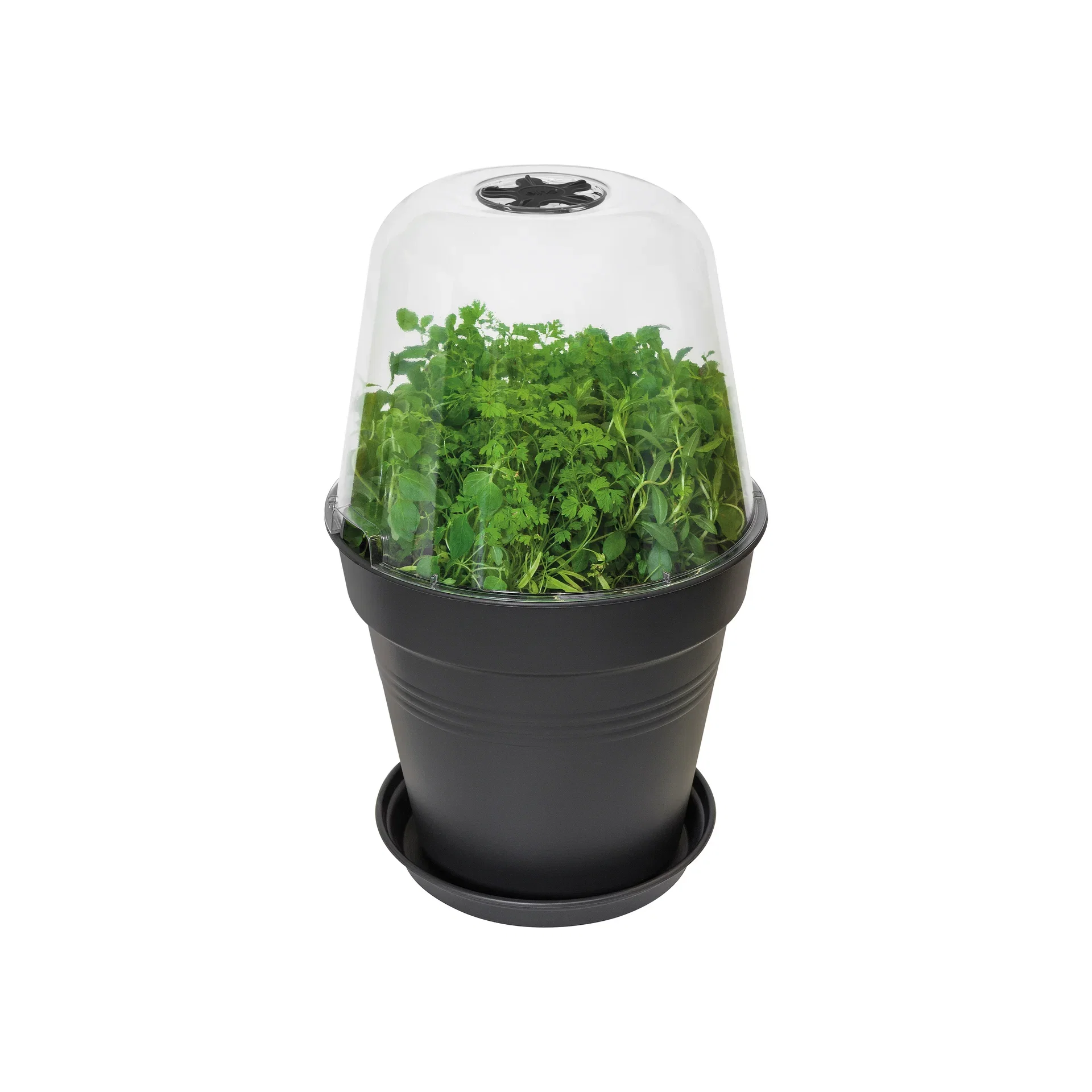 Green basics grow house round