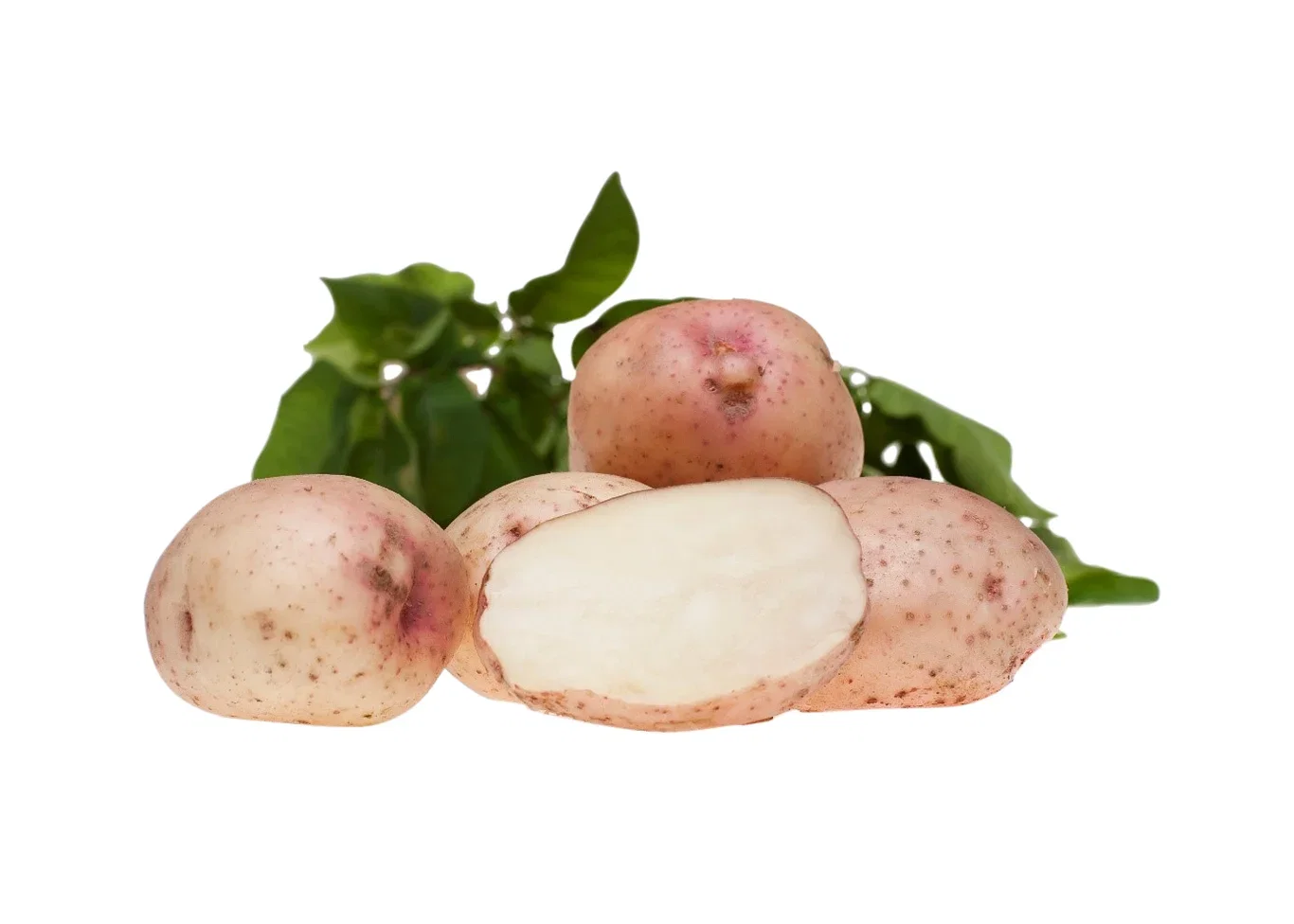 Potato Kerrs Pink 2,5 Kg