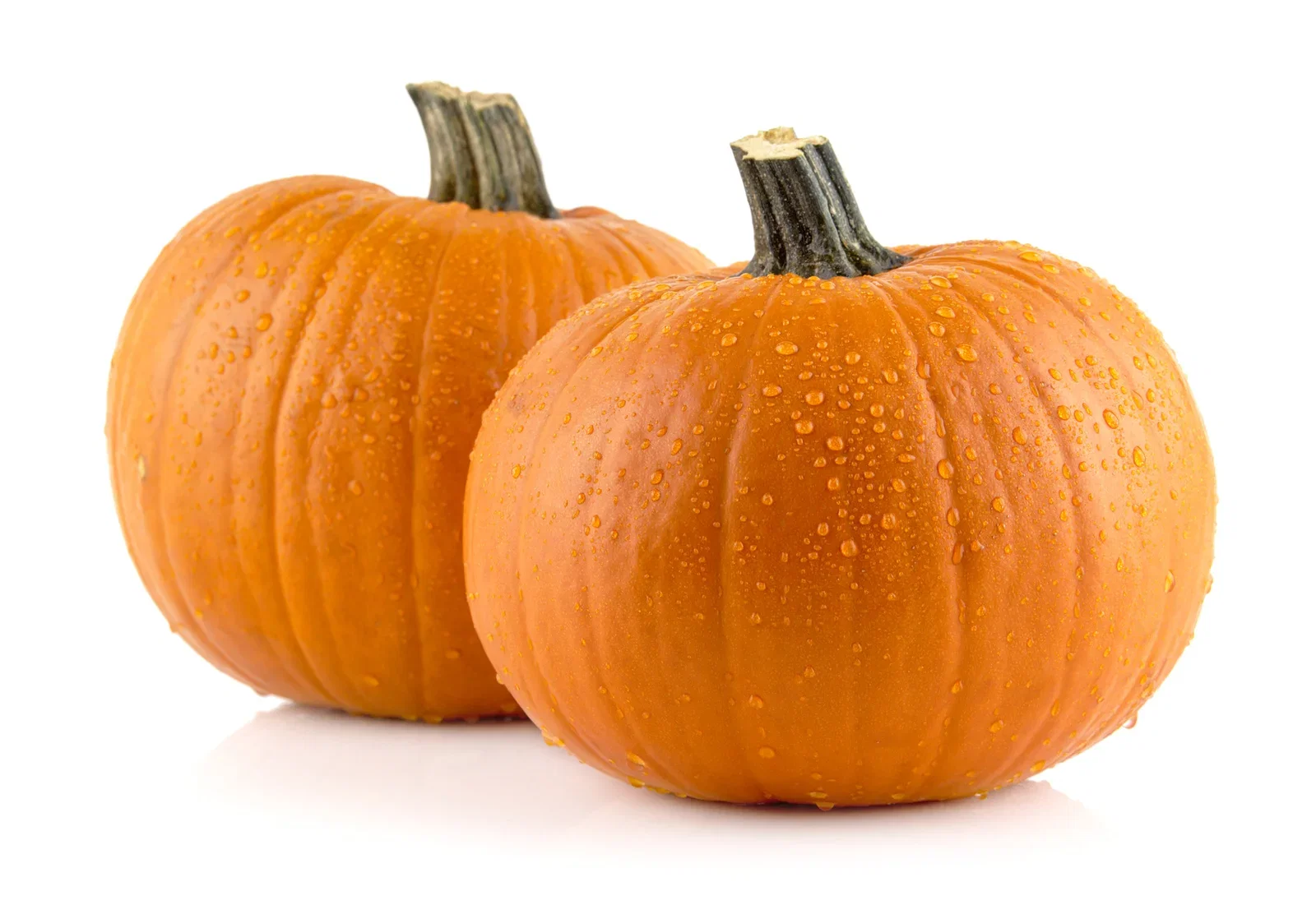 Pumpa 'Rouge Vif d'Etampes'