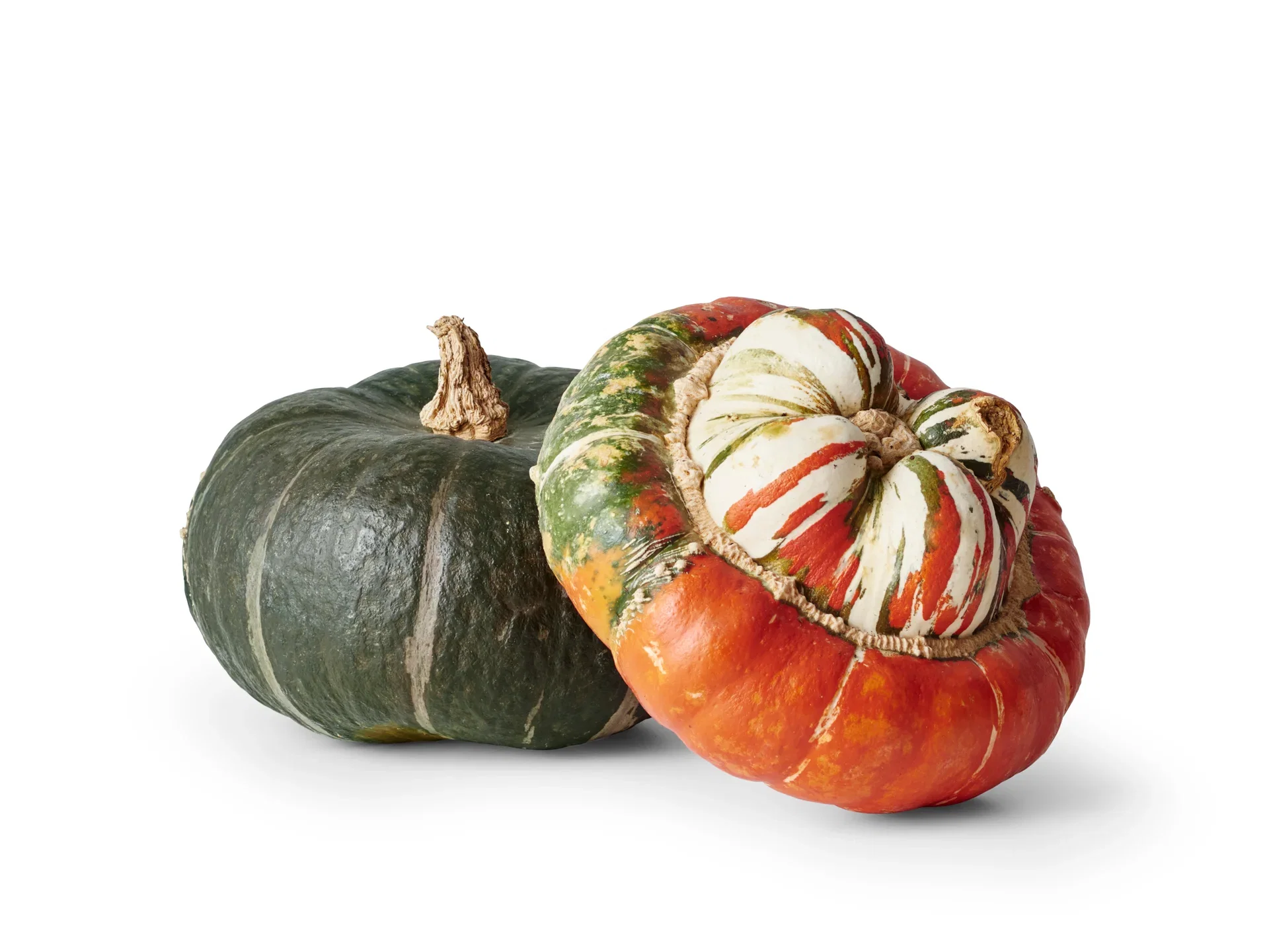 Prydnads pumpa special mix