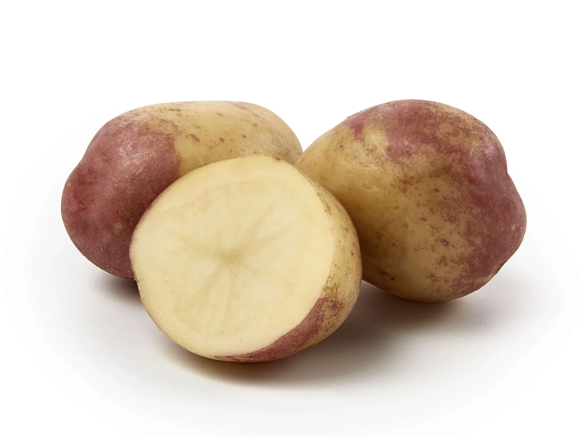 Sättpotatis 'King Edward'