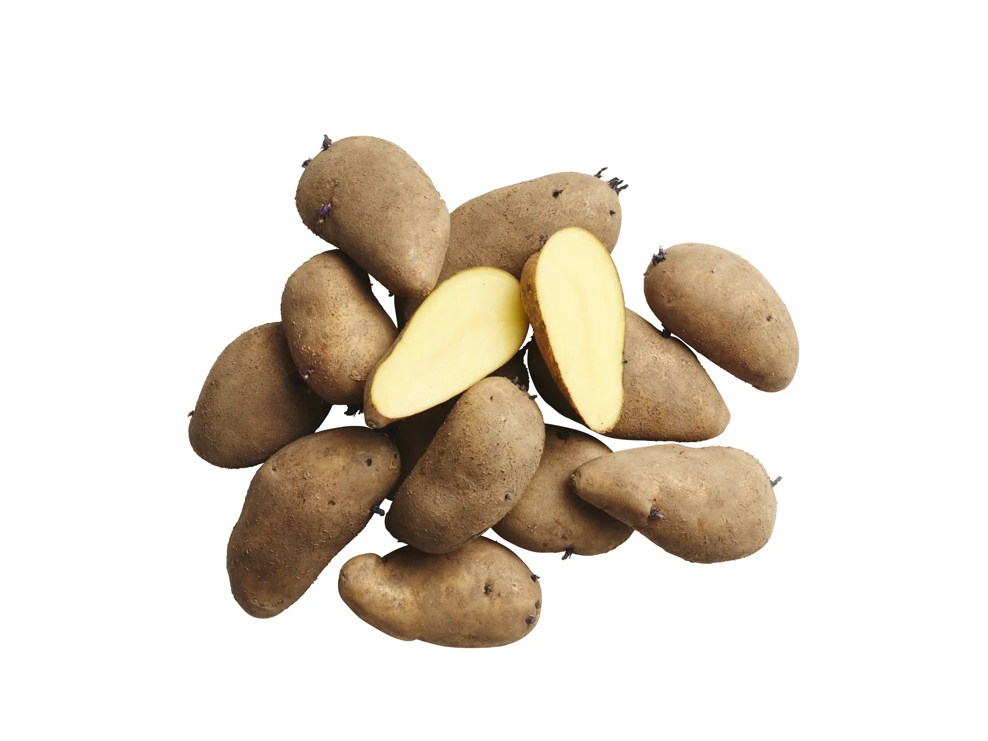 Sättpotatis 'Mandel'