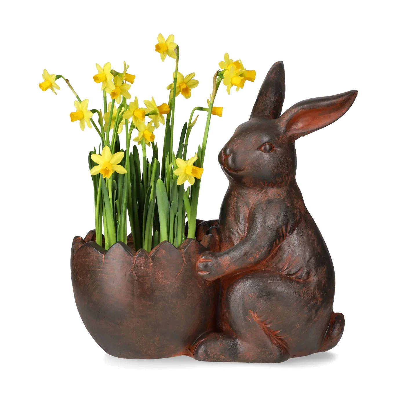 Narcissus 'Tete a Tete' 17 cm