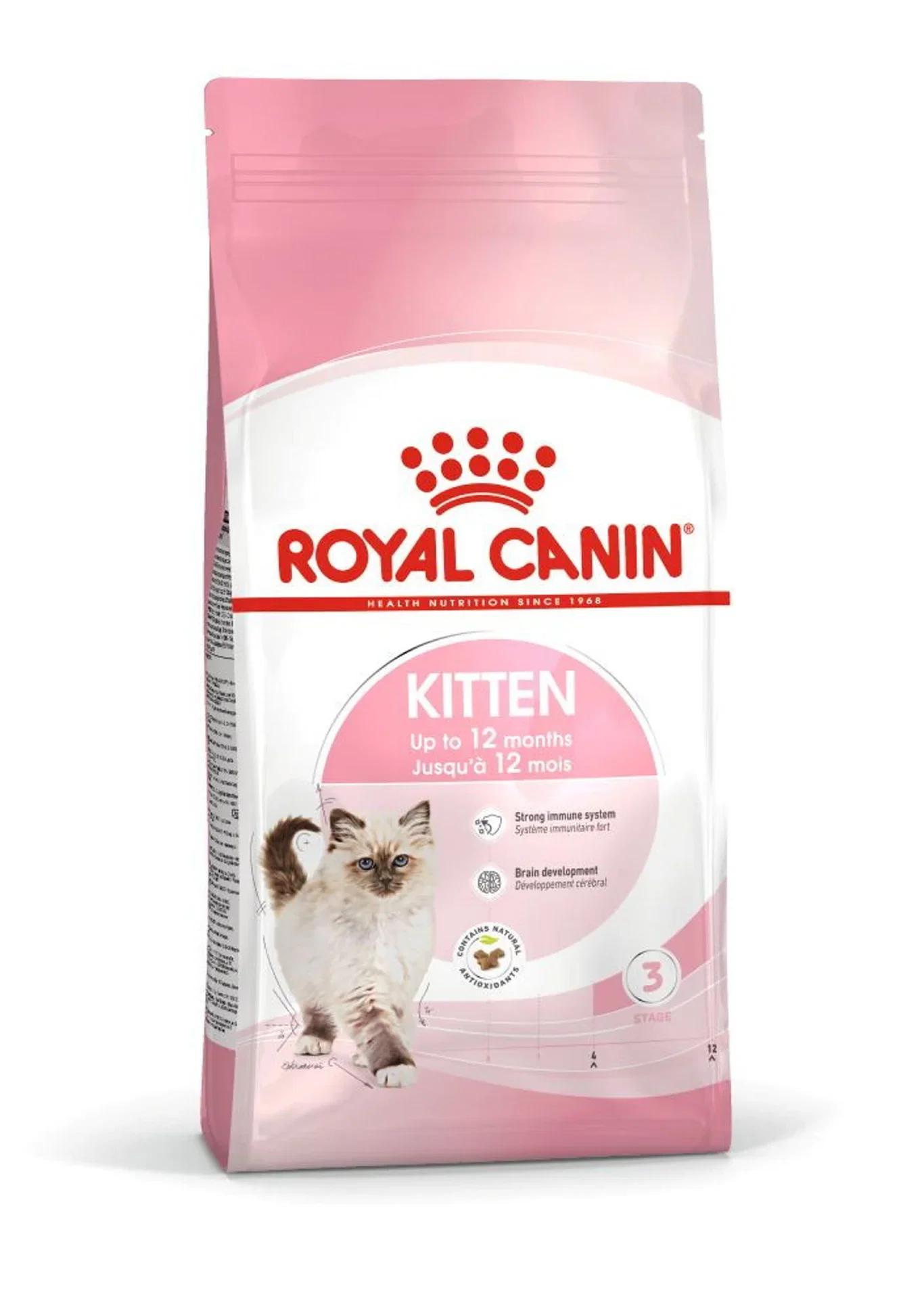 Kitten 2 kg