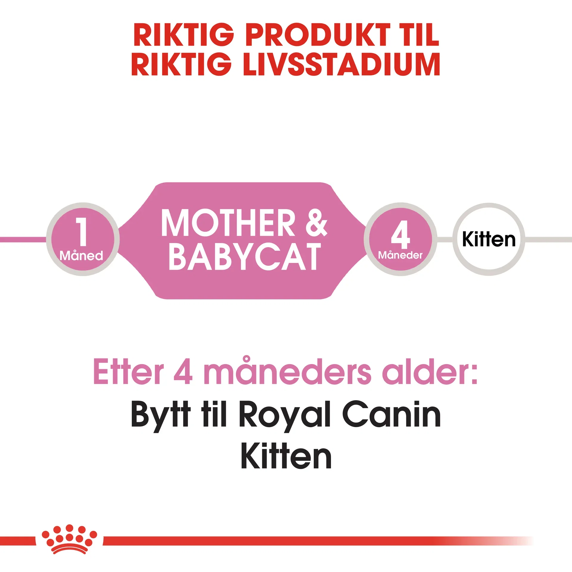 Mother & Babycat 2 kg