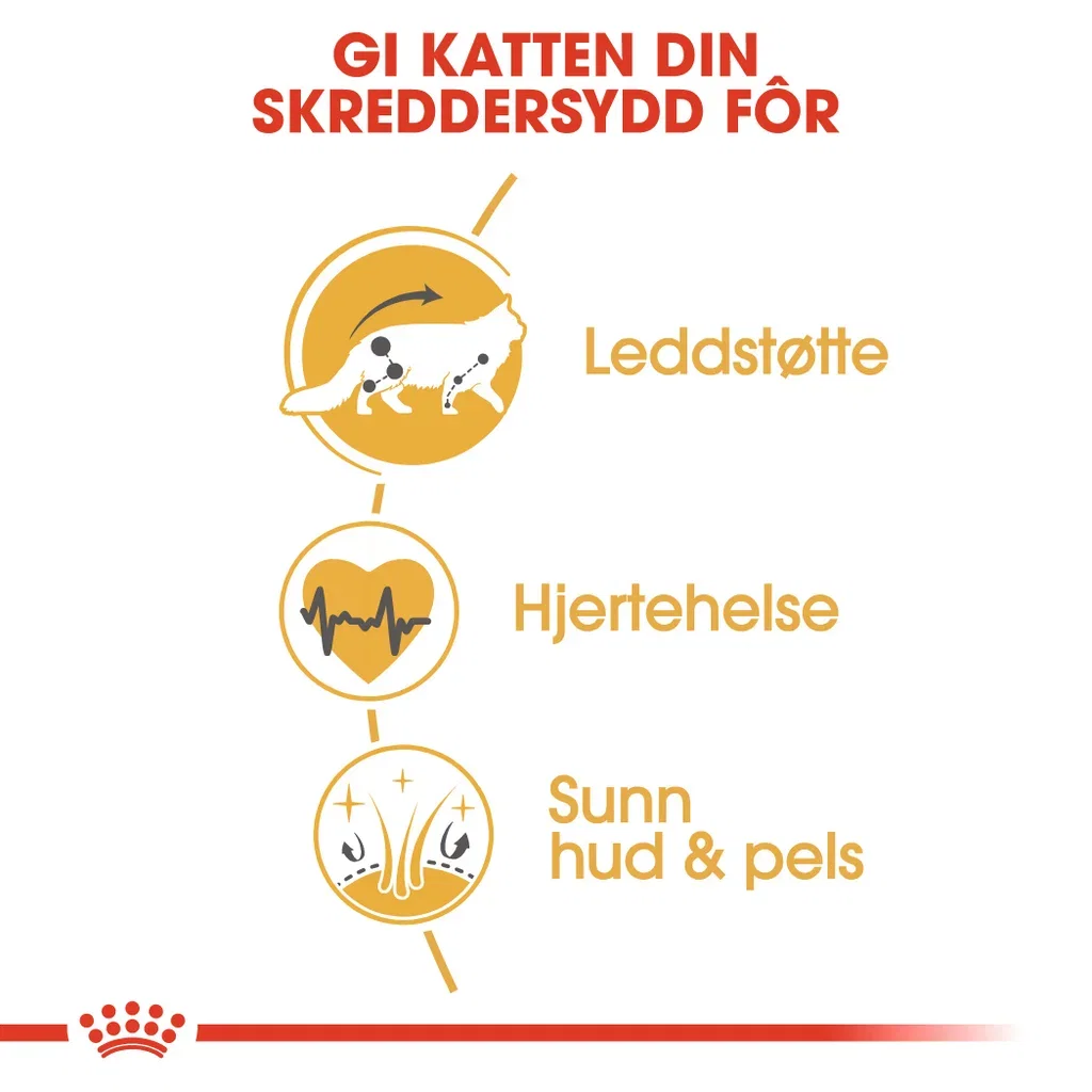 Maine Coon Adult 10 kg